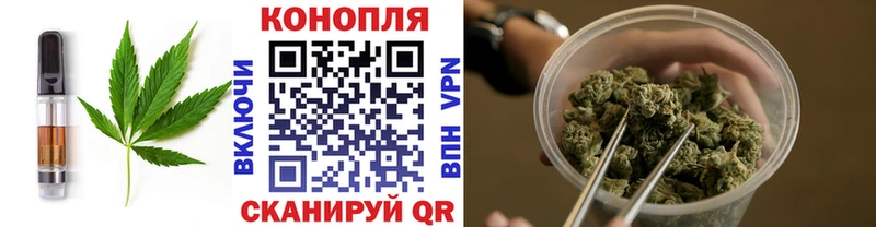 купить наркотики цена  Чусовой  MEGA онион  Cannafood конопля 