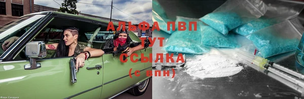 метадон Гусев
