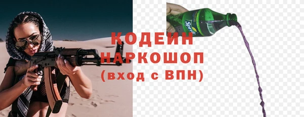 метадон Гусев