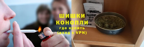 метадон Гусев