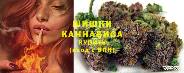 PSILOCYBIN Гусь-Хрустальный