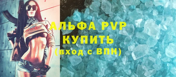 твердый Дмитровск
