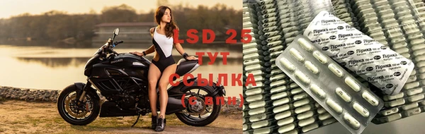 метадон Гусев