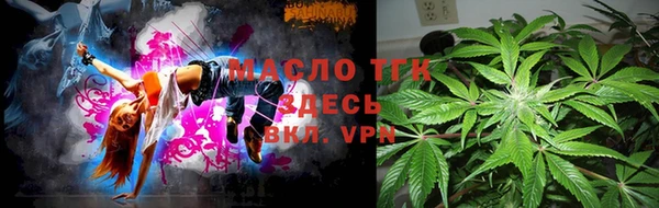 ГАЛЛЮЦИНОГЕННЫЕ ГРИБЫ Дмитриев