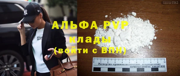 сатива Гусиноозёрск