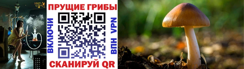 Галлюциногенные грибы ЛСД  маркетплейс наркотические препараты  Чусовой 