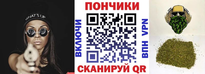 где можно купить   Чусовой  Конопля Amnesia 